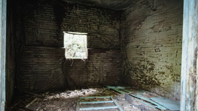 ダイイング・レッスン