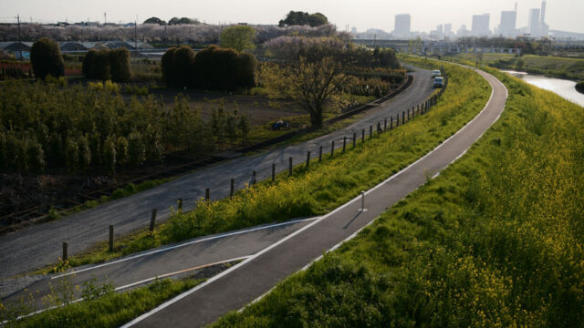 ライフ・ランナーズ